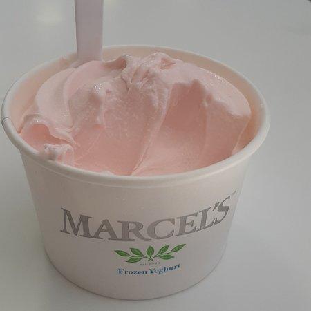 Marcel's Frozen Yoghurt